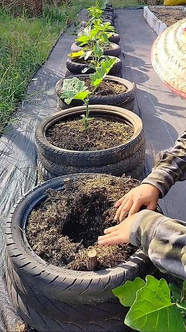 онлайн работа на дому без опыта: ИЩУ РАБОТУ! ДВОРНИК: УБОРКА ДВОРА МНОГОЭТАЖНЫХ ДОМОВ И ЧАСТНЫХ ДОМОВ — 6