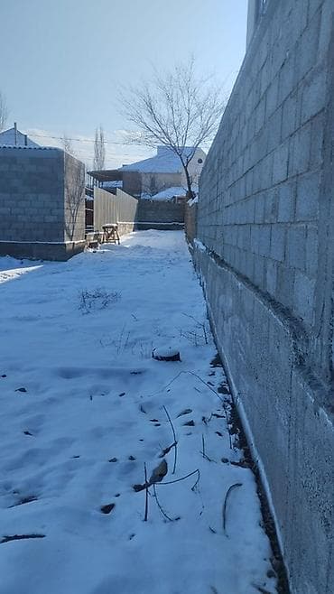 зата: 4 соток, Красная книга — 4