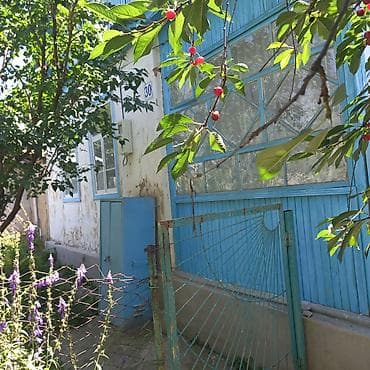 amber: Дом с садовым участком - Жилой дом с застеклённой веранды/пристройкой — 1