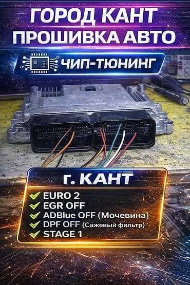 Здравствуйте, предоставляю услуги чип-тюнинга(прошивки ЭБУ авто) а at lalafo.kg Здравствуйте, предоставляю услуги чип-тюнинга(прошивки ЭБУ авто) а