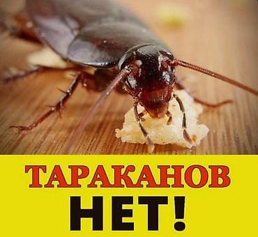 Дезинфекция, дезинсекция, | Клопы, Блохи, Тараканы, | Транспорт, Офисы, Квартиры
