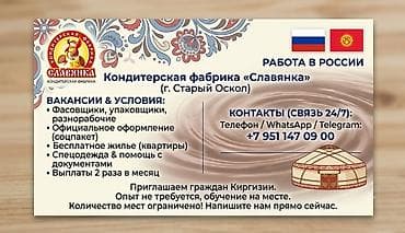 Упаковщики: Требуется Упаковщик, Оплата: Дважды в месяц, Без опыта — 3