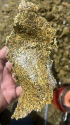 весы для животных: Пахта кунжара
Хлопковое жмых — 5