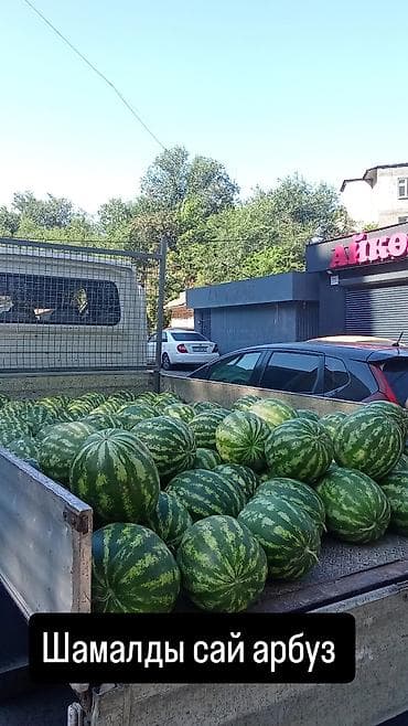 smart express: Грузоперевозки по городу (и вне города) также выезжаем в регионы длина — 2