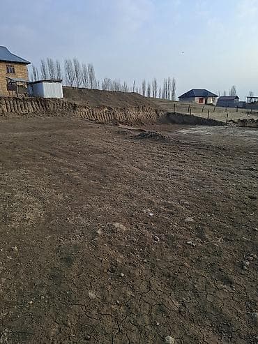 токмок кун чыгыш: 8 соток, Кызыл китеп — 5