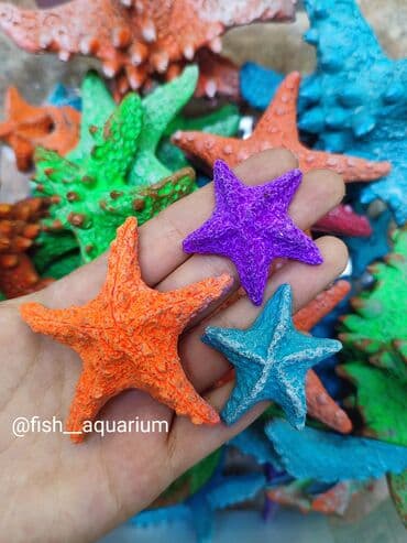 аквариумная рыбка: Большой ассортимент аквариумных декораций. Аквариум- прекрасный — 5