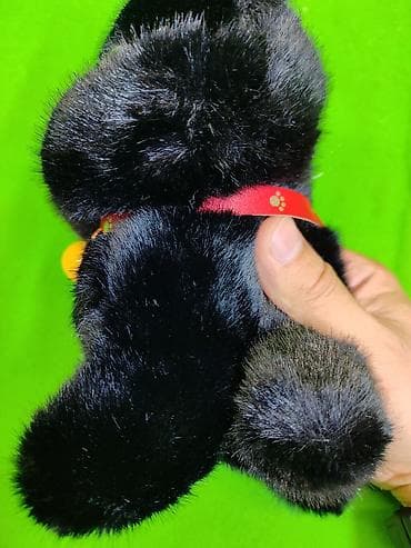 soft shell: Кошка игрушка мягкая в ассортименте🐱 Комплектация товара: 1 из 2 — 4