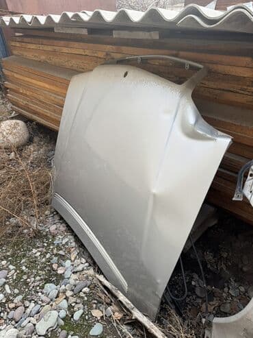 Автокосметика: Капот Mercedes-Benz — 1