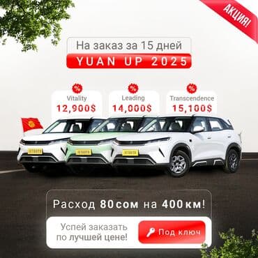 программатор для чип ключей автомобиля: BYD : 2025 г., Электромобиль, Кроссовер — 1