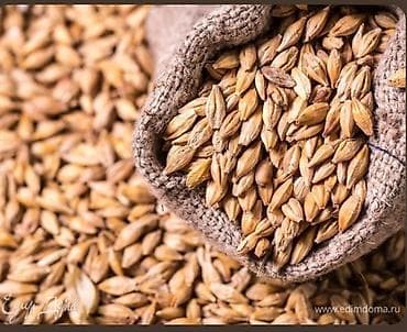 Куплю ячмень и кукурузу, (60,100 тонн) кукуруза 21 после весов деньги