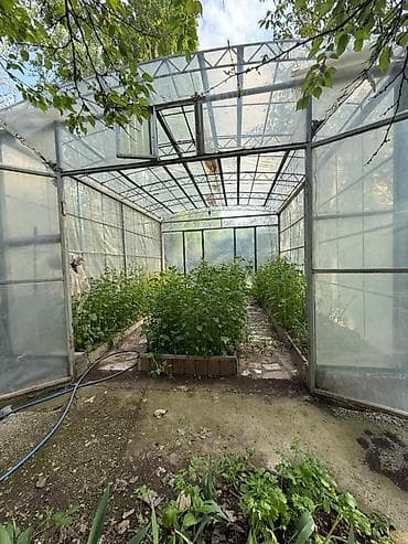 6 соток, Для сельского хозяйства, Договор купли-продажи, Красная книга — 8
