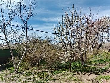 Кыймылсыз мүлк: - Отдельно стоящий одноэтажный дом с двускатной кровлей. - Территория — 3