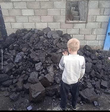 угольный брекеты: Уголь Шабыркуль с доставкой по Бишкеку — 2