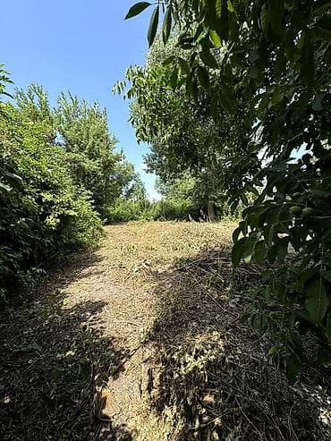 виноградное село: 📌В центре села Беловодское срочно продается дом на участке 10,8 соток — 7