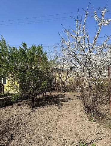 Үйлөр: 🏡 Дом в Бишкеке (ж/м Ак-Орго) ✨ 4 комнаты 📐 Площадь: 120 м² 🌿 — 3