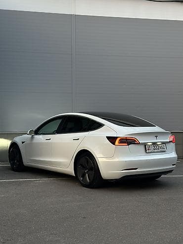 Tesla: Tesla Model 3: 2019 г., Автомат, Электромобиль, Седан — 6