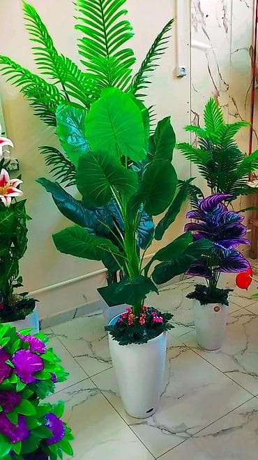 уголь с доставкой бишкек: Искусственные цветочные композиции в кашпо - Большие напольные — 10