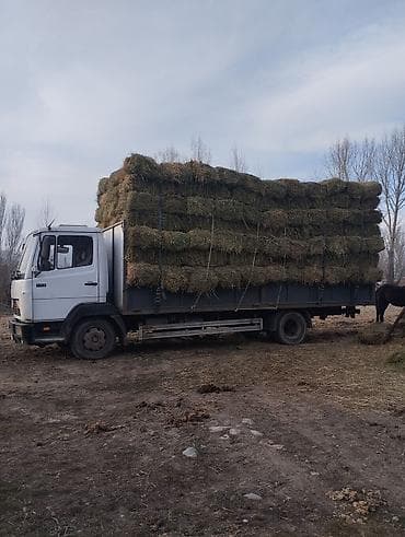lada 2109: Грузовик, Mercedes-Benz, Стандарт, 7 т, Б/у — 5