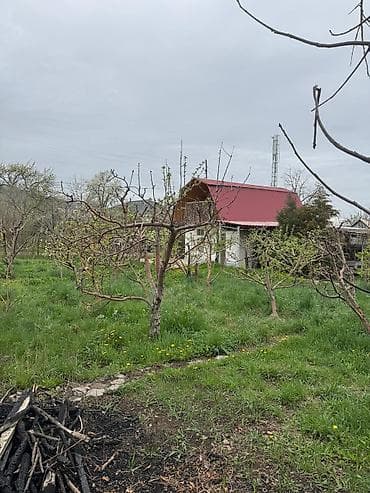 земля ивановка: Другие удобства для дома и сада — 7