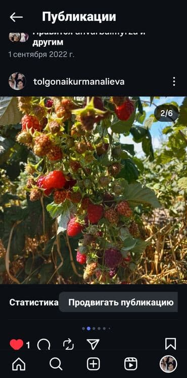 оборудование для пекарня: Малина Чекене — 4