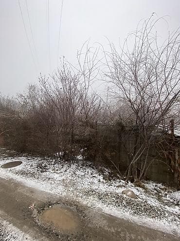 гараж джал: 9 соток, Красная книга — 5