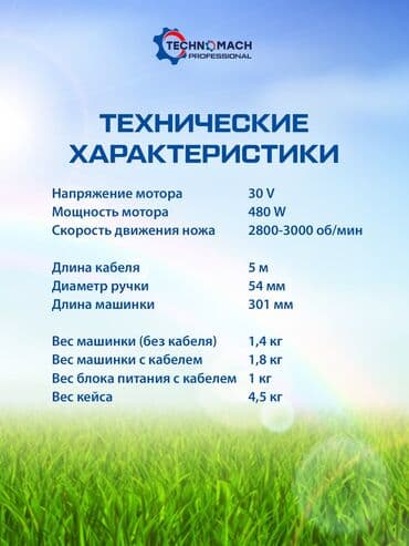 где можно купить молодых кур несушек: СТРИЖКА ОВЕЦ От компании «Техномаш» Профессиональный аппарат ( — 6