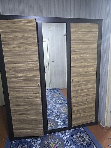 вешалка для белья: Шкаф купе, Б/у, С зеркалом, Дерево — 1