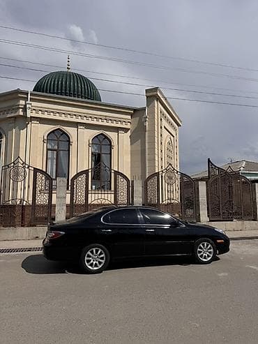 Lexus: Lexus ES: 2003 г., 3 л, Автомат, Газ, Седан — 5