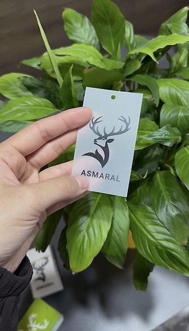 am 4: Высокоточная печать, Шелкография, | Пакеты, Футболки, Этикетки — 1