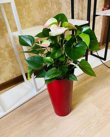 купить подставка для цветов: Кашпо,цветочные горшки,цветочные — 26