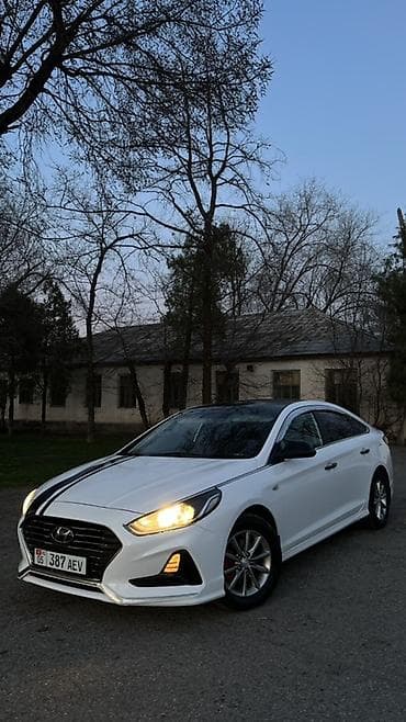 Hyundai Sonata: 2018 г., 2 л, Автомат, Газ, Седан
