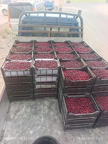 корзина фруктов: Вишня Оптом, Платная доставка — 3