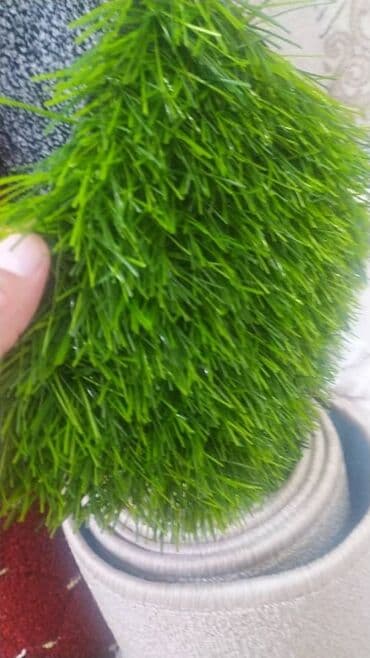 купить цветы оптом бишкек: Газон Газон декор любые размеры — 5