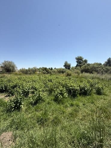 прод дом село манас: Үй, 90 кв. м, 5 бөлмө, Менчик ээси, Эски ремонт — 7