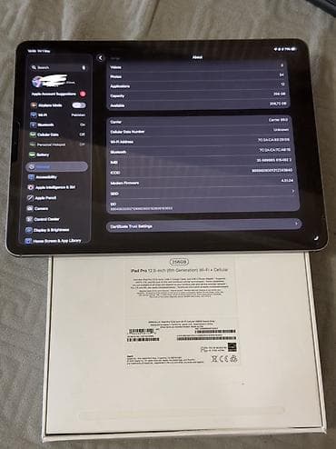 Планшеты: Планшет, Apple, память 256 ГБ, 12" - 13", 5G, Классический цвет - Серый — 2