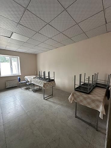 тынчтык ж м: 20 соток, Бизнес үчүн, Кызыл китеп, Техпаспорт — 10