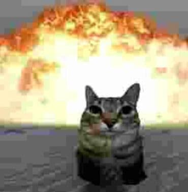 Вязка кошек: Беспородная, 2 года, Мальчик, Серый, С прививками — 1