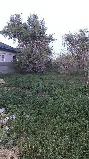 10 га: Продаётся земельный участок с домом и хозяйственными застройками!Три — 8