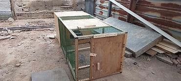 военные сетки: Универсальный вольер для животных, изготовленный из дерева и — 7