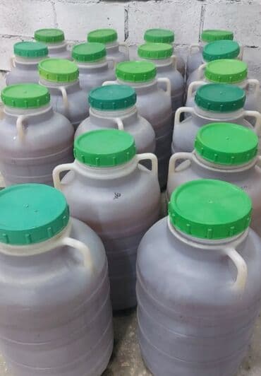 помидор оптом цена: Горный Токтогульский чистый мёд .Оптом и розницу свежая сборка2025 — 1