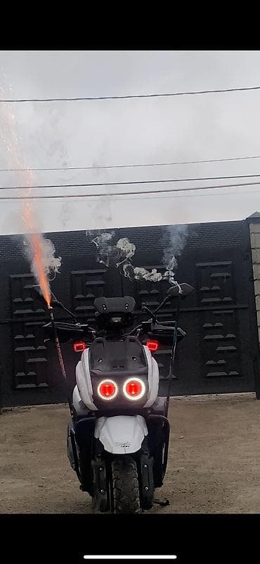 honda today: Tank, 160 куб. см, Бензин, Б/у — 5