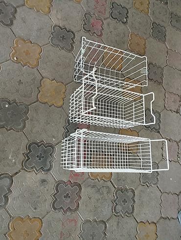 кардон алгандар: Тоңдургуч — 3