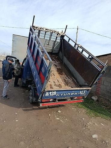 t 25: Легкий грузовик, Hyundai — 4