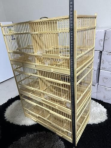 аквариум бишкек цена: Новый клетка, привозной.
Цена 4000сом — 3