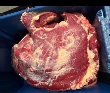 мраморная говядина бишкек цена: Говядина : Лопатка — 1