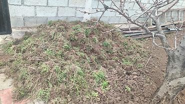 Стирка ковров: Уборка территории, Уборка двора и сада — 6