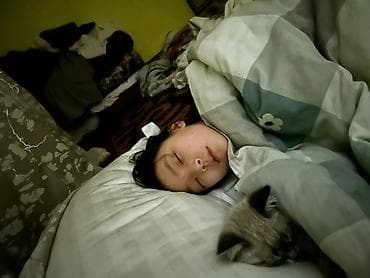 сиамская ориентальная кошка: Котёнок с сиамским окрасом (поинтовый): светлый корпус, тёмные ушки — 5