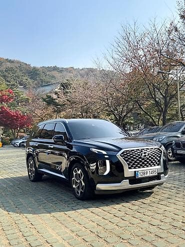 honda passport: Hyundai Palisade: 2020 г., Бензин, Кроссовер — 2