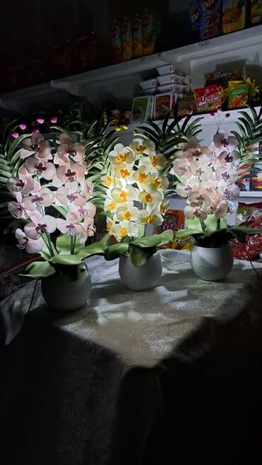 Орхидея 
Орхидея светильник 
Цветы Бишкек
Светильник 
Ручнаяработа