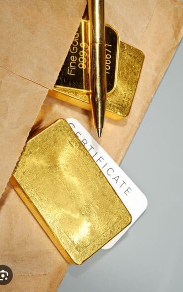 Туристические услуги: Разработка бизнес плана по международному стандарту UNIDO для — 2